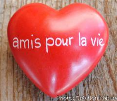 80361 Heart Amis pour la vie